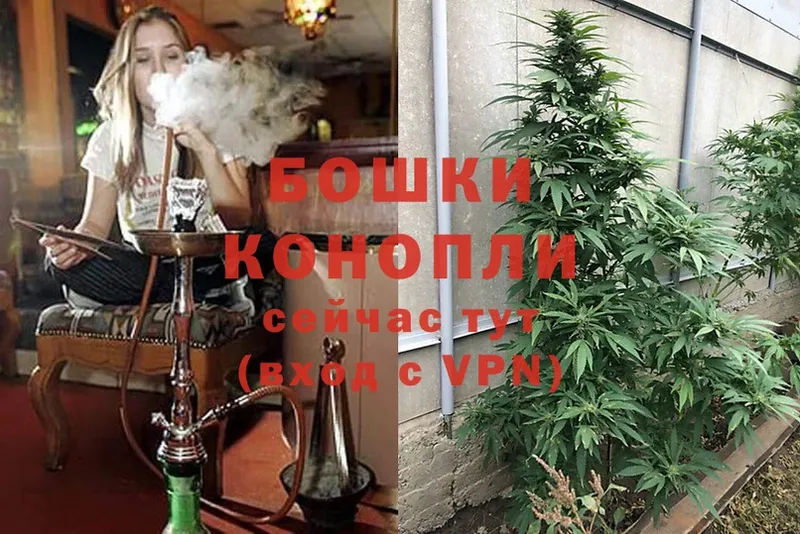 Каннабис White Widow  гидра tor  Лермонтов 